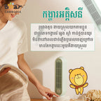 Electric Fan