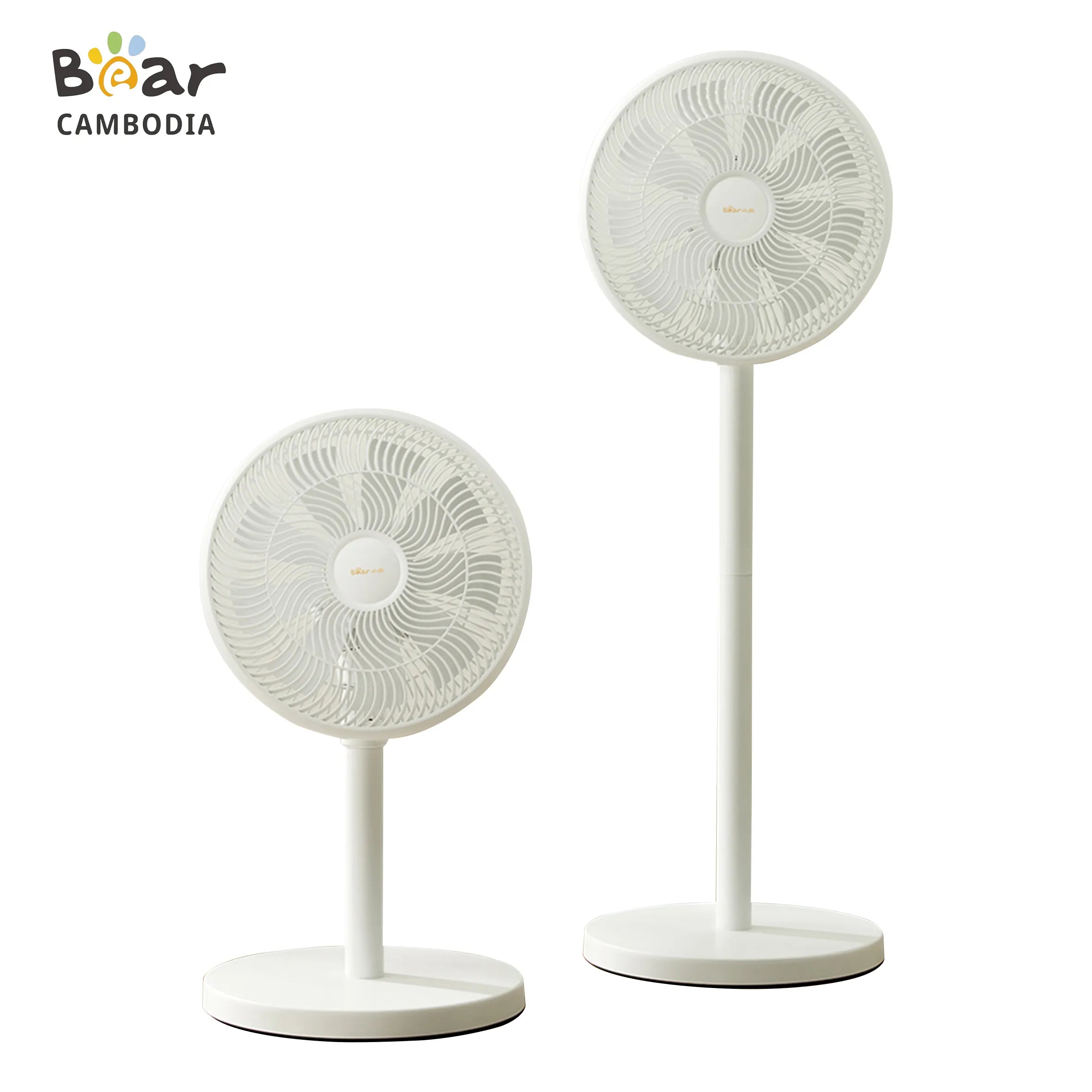 Electric Fan