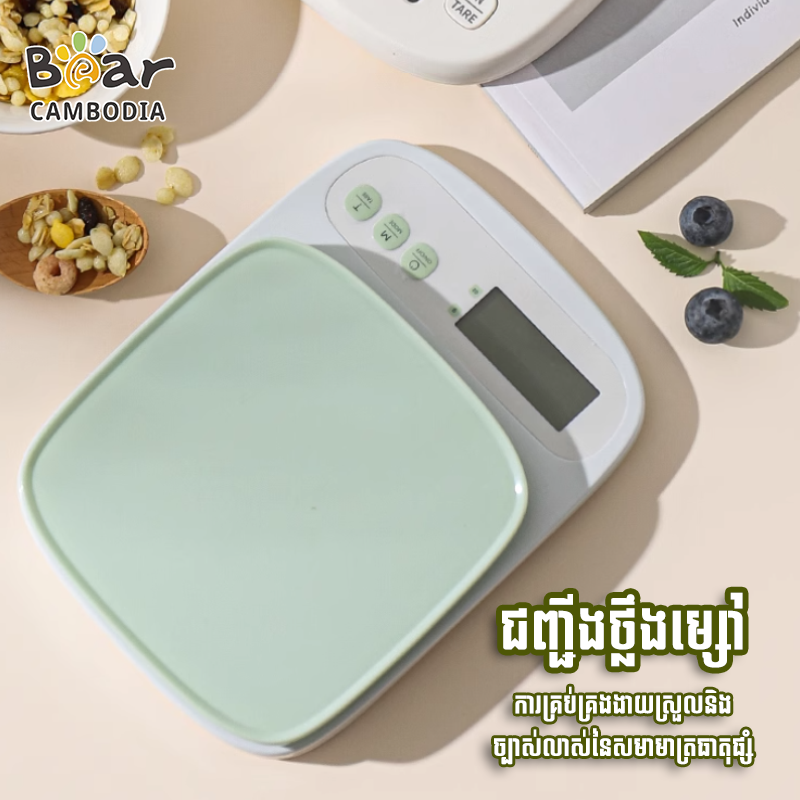 Kitchen Electronic Scale
