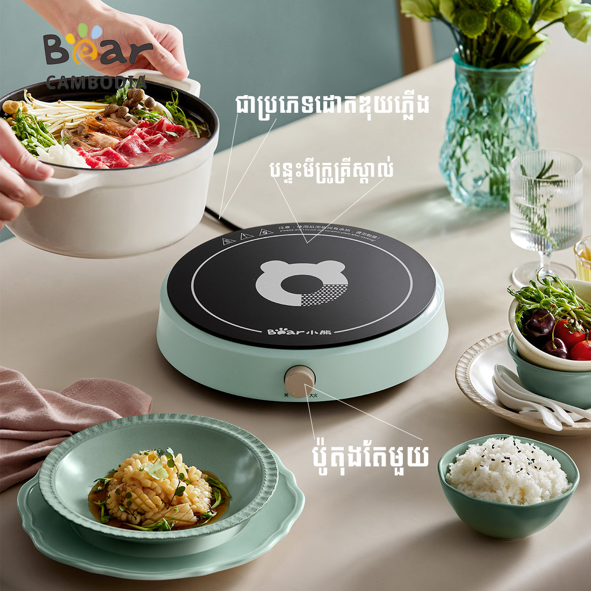 Induction Cooker