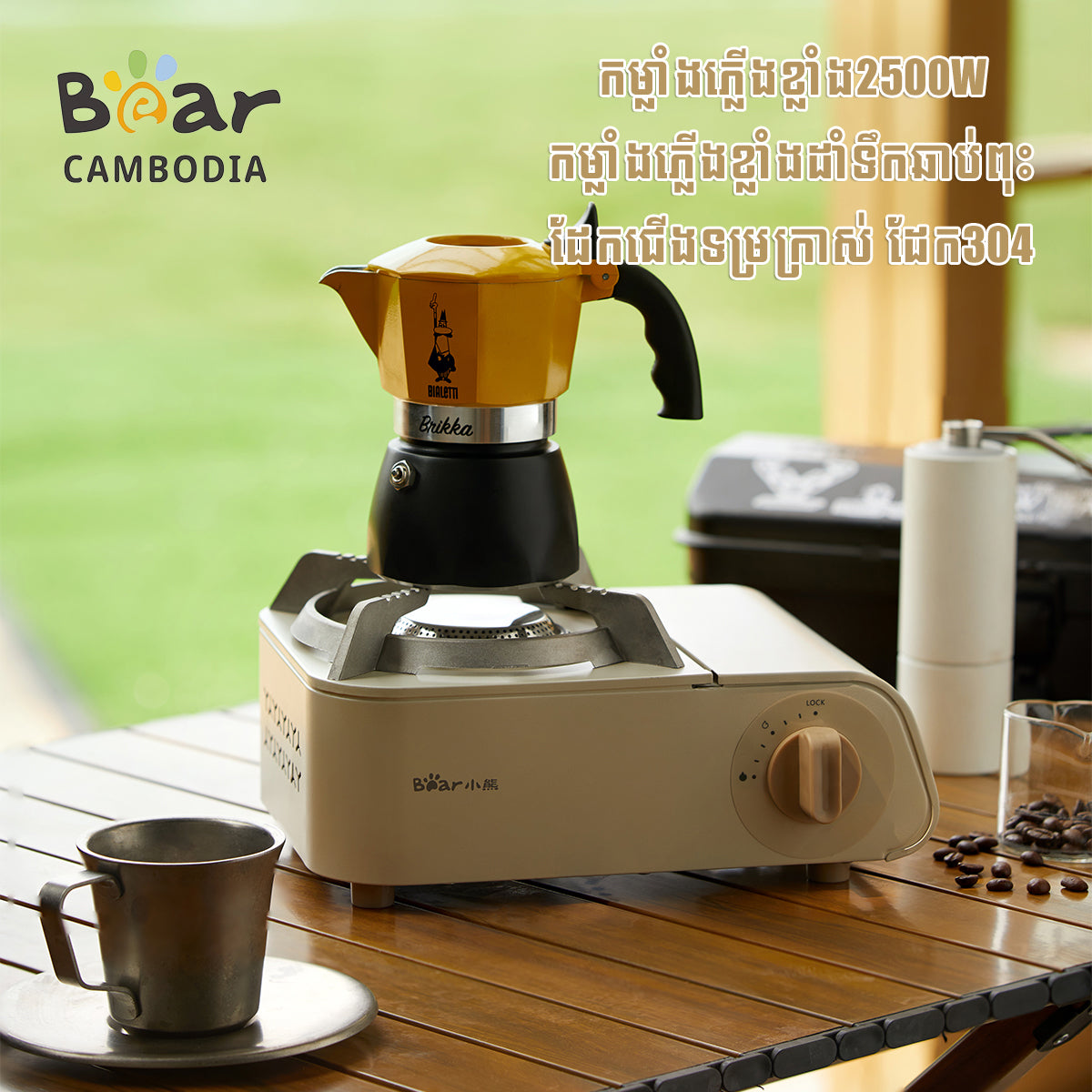 Portable Gas Stove