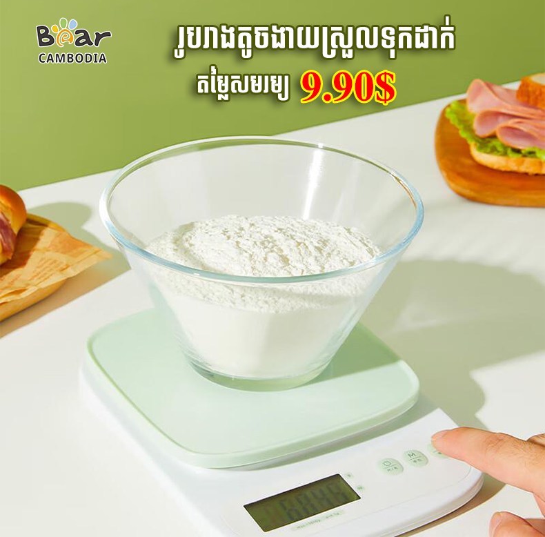 Kitchen Electronic Scale