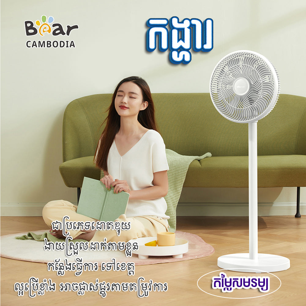 Electric Fan