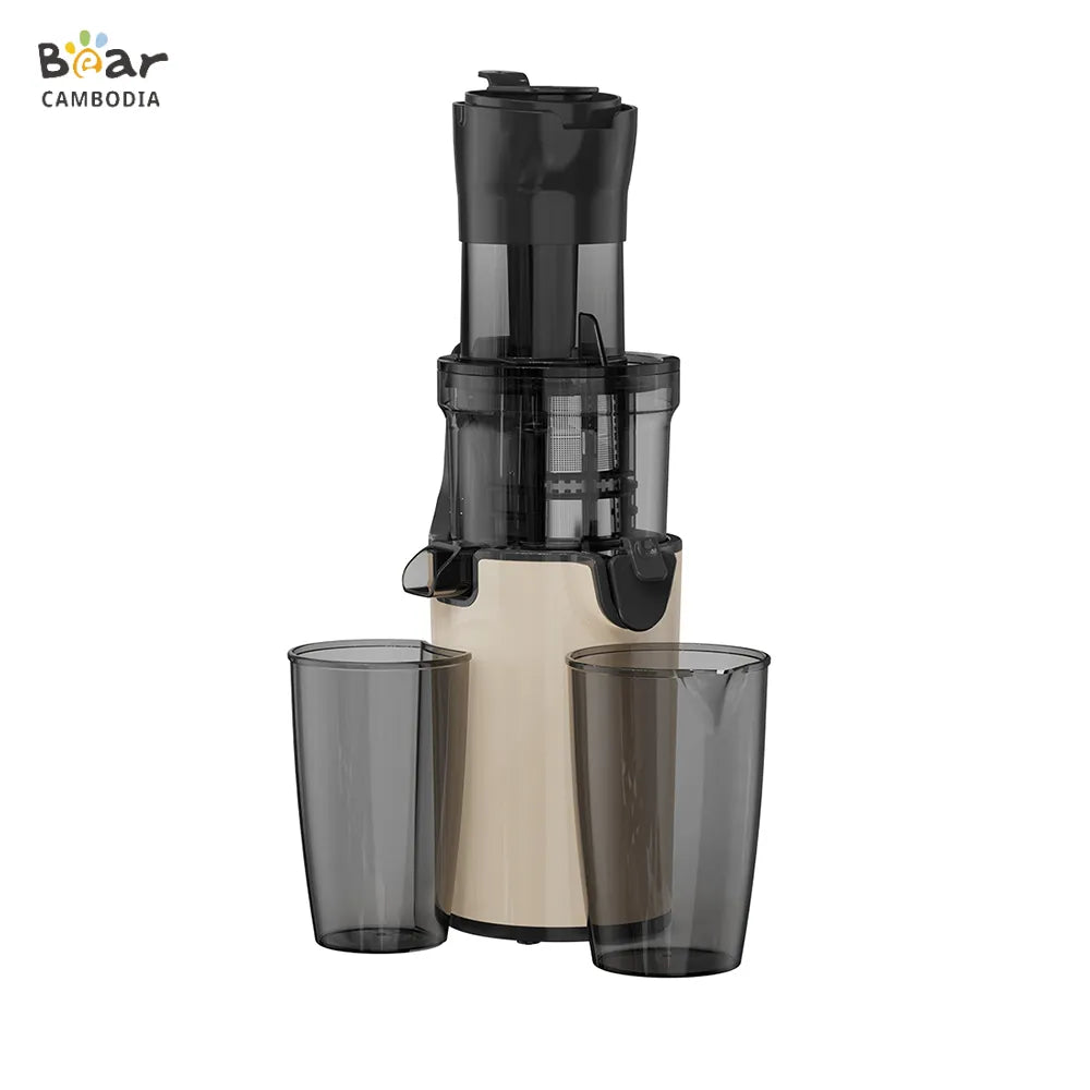 Electric Juicer