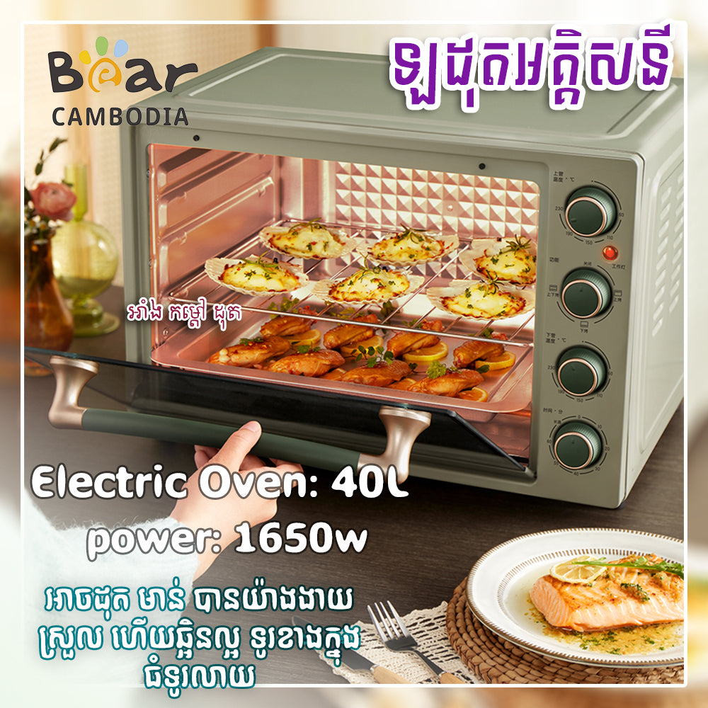 Electric Oven