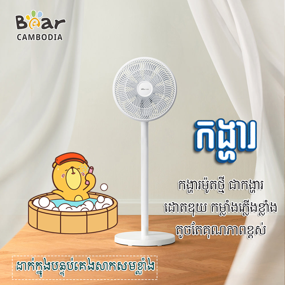Electric Fan