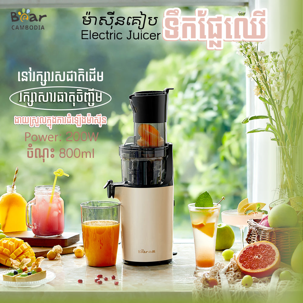 Electric Juicer