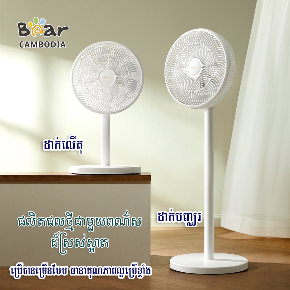 Electric Fan
