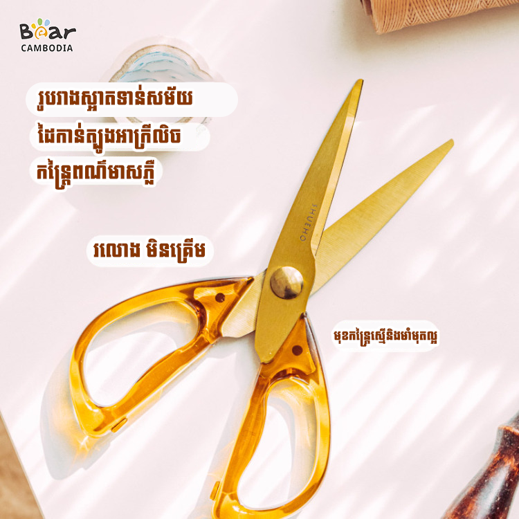 Vintage Acrylic Scissors