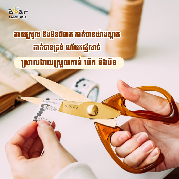 Vintage Acrylic Scissors