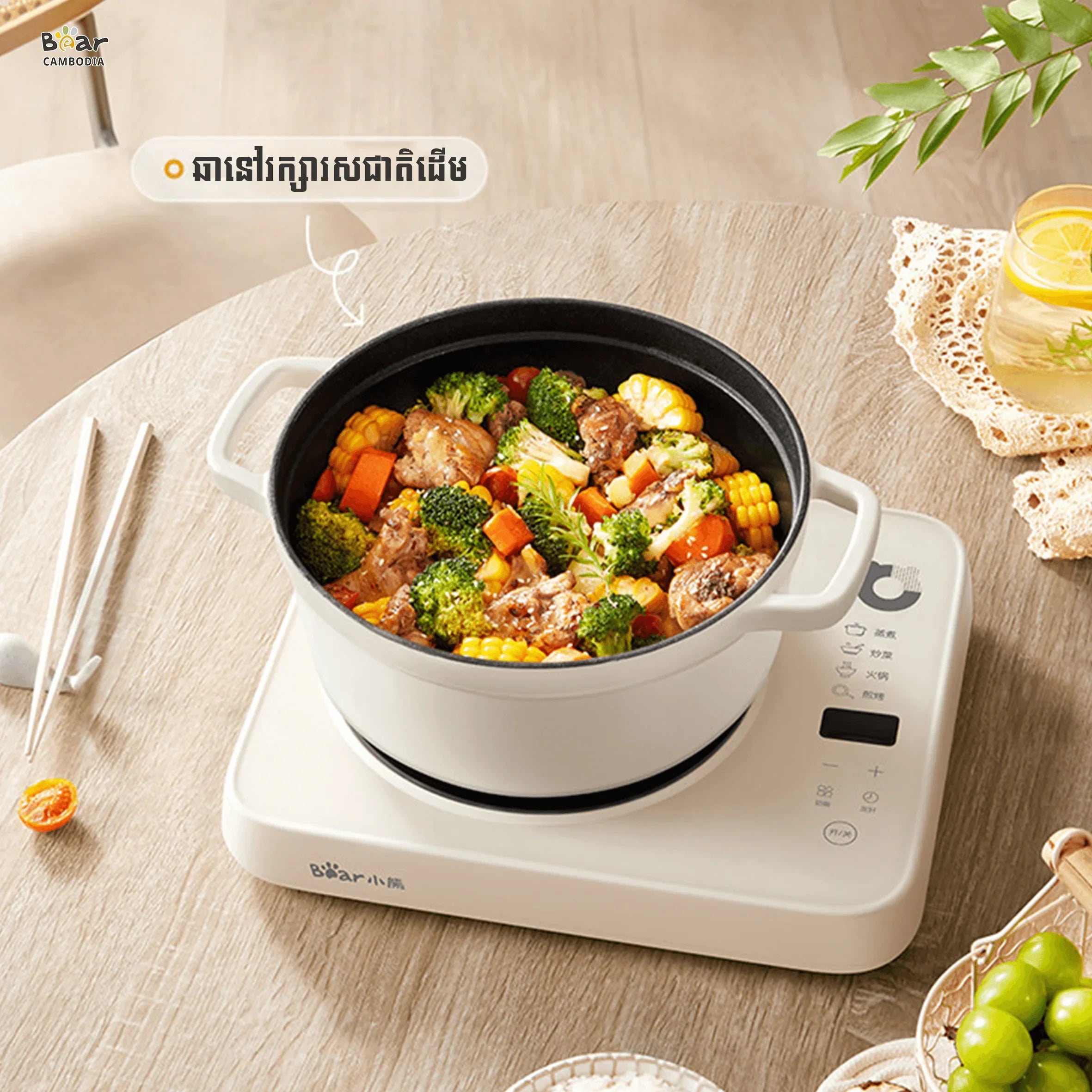 Bear Induction Cooker