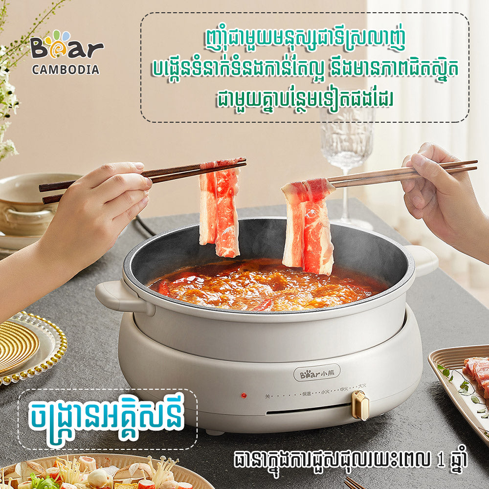 Electric Heat Pan