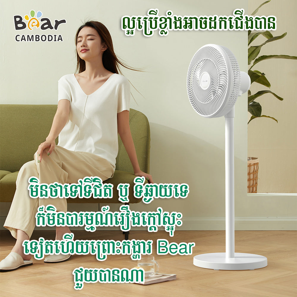 Electric Fan
