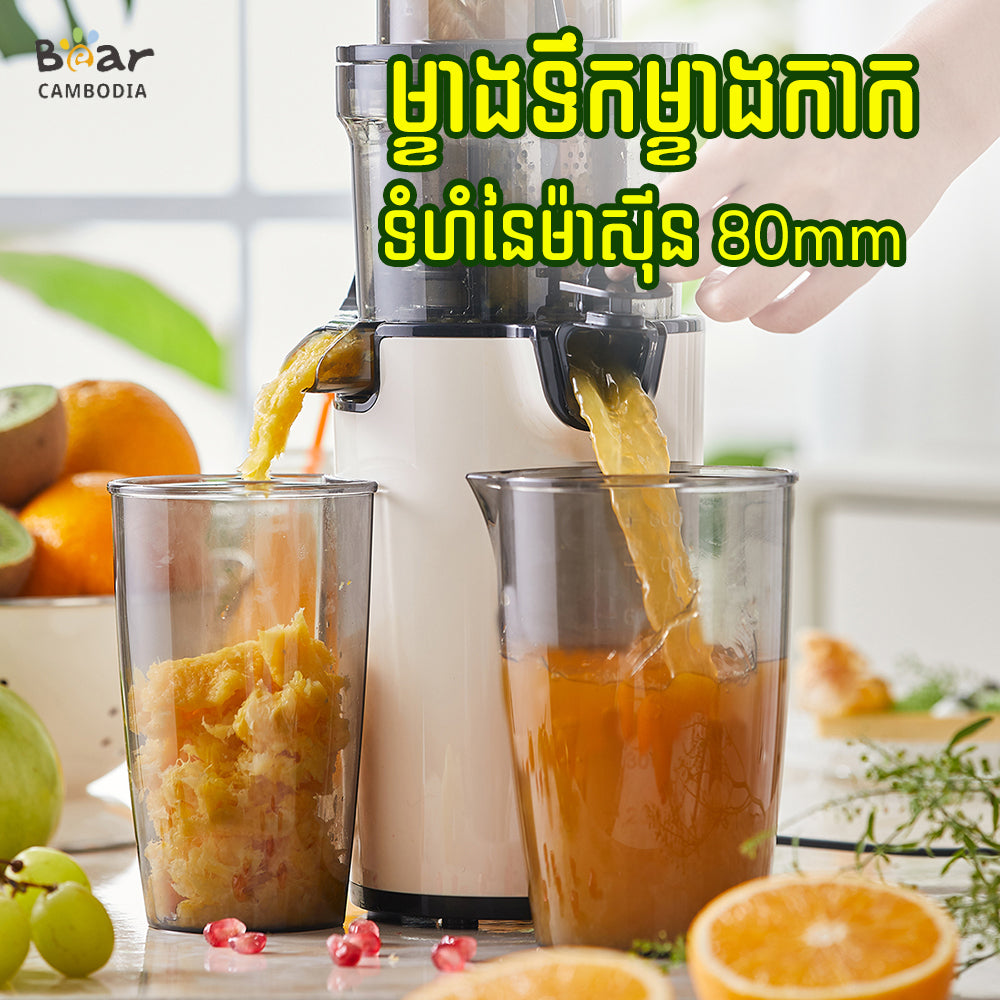 Electric Juicer
