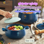 Casserole 2.5L