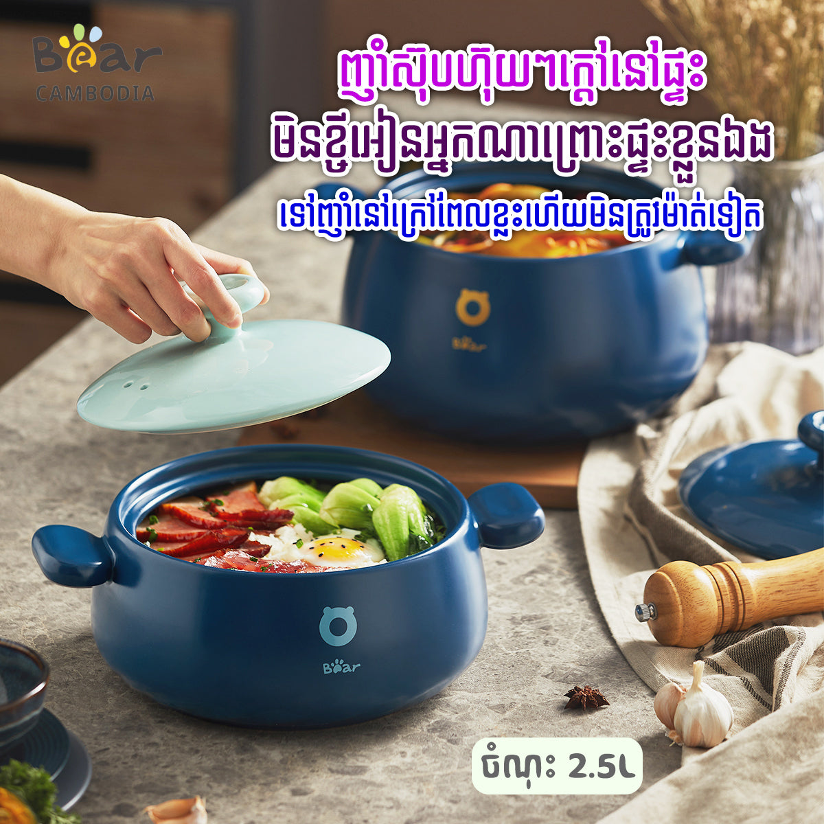 Casserole 2.5L