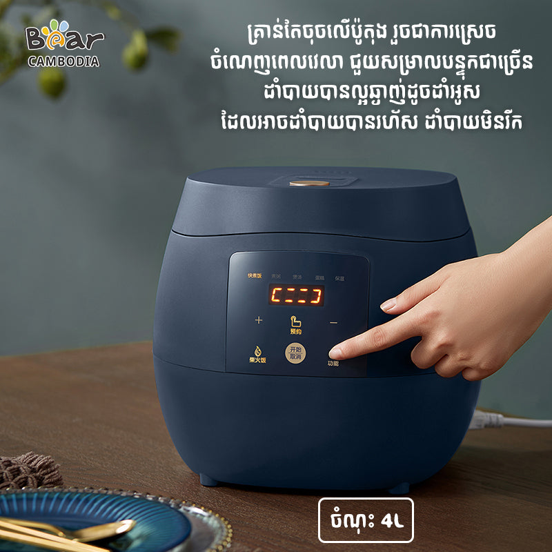 Rice Cooker