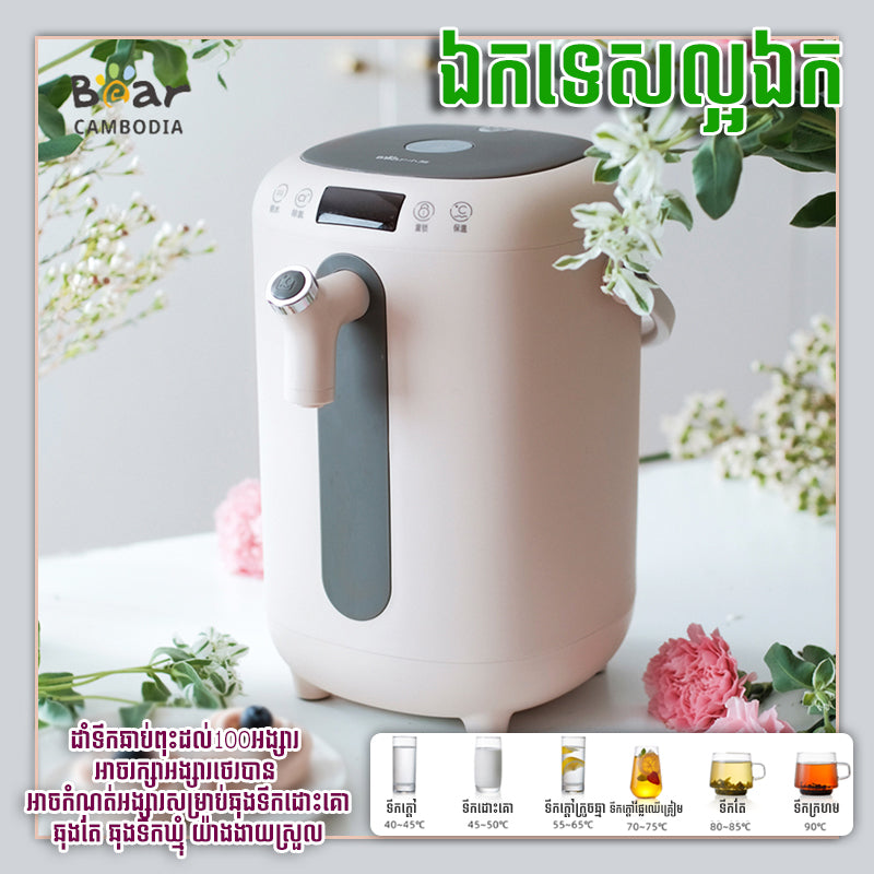 Electric Kettle 3L