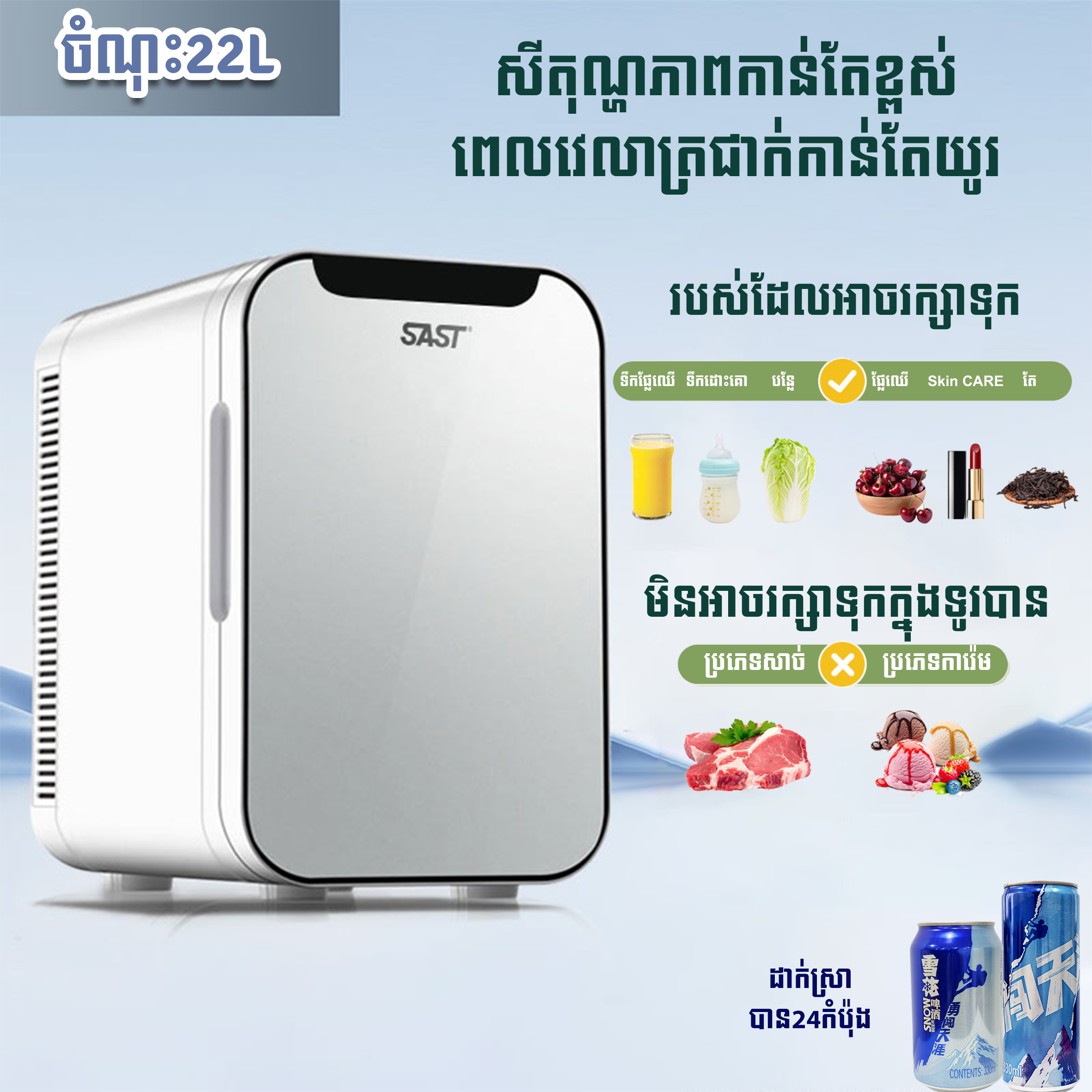SAST Mini Fridge 22L