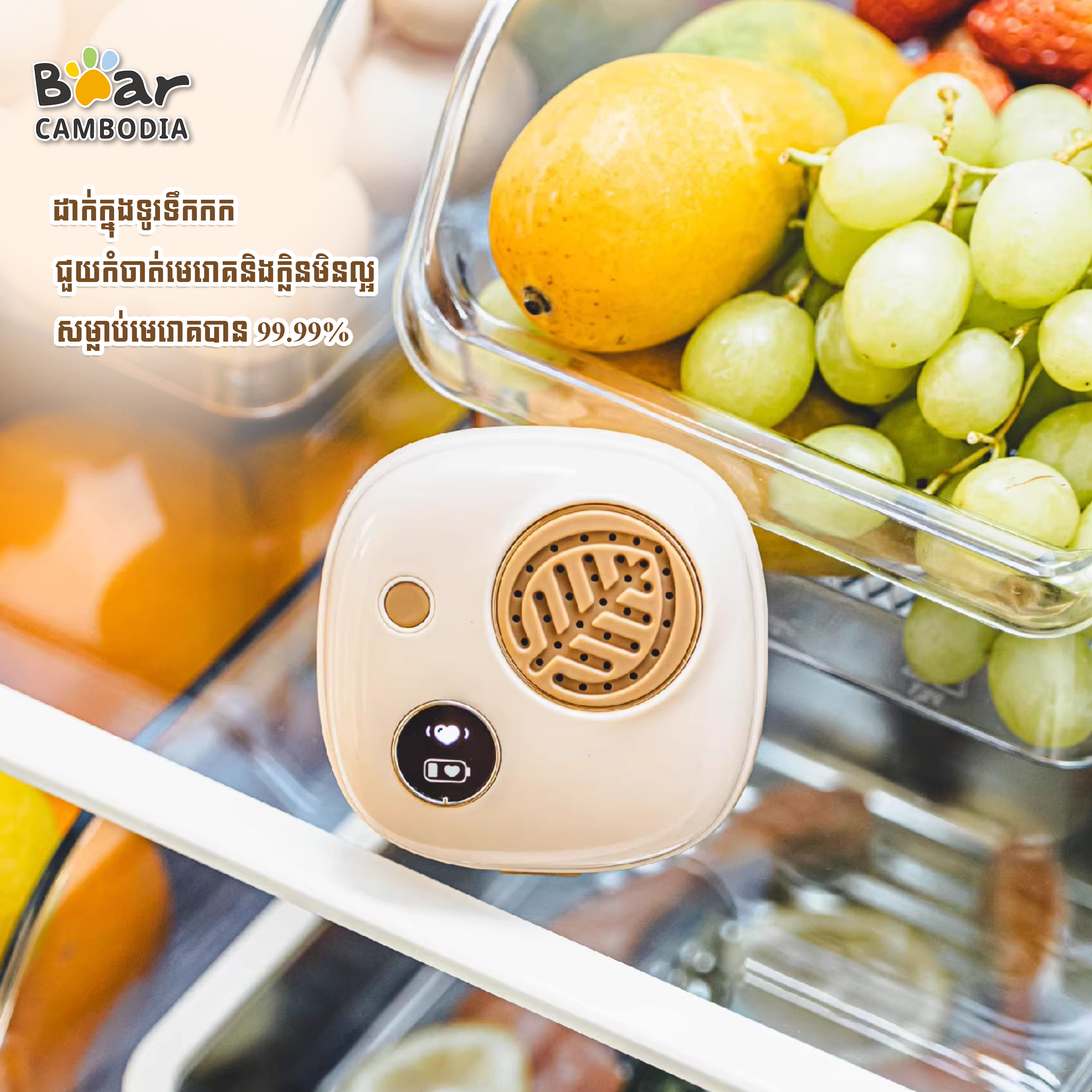 Fridge Deodorizer