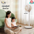 Electric Fan