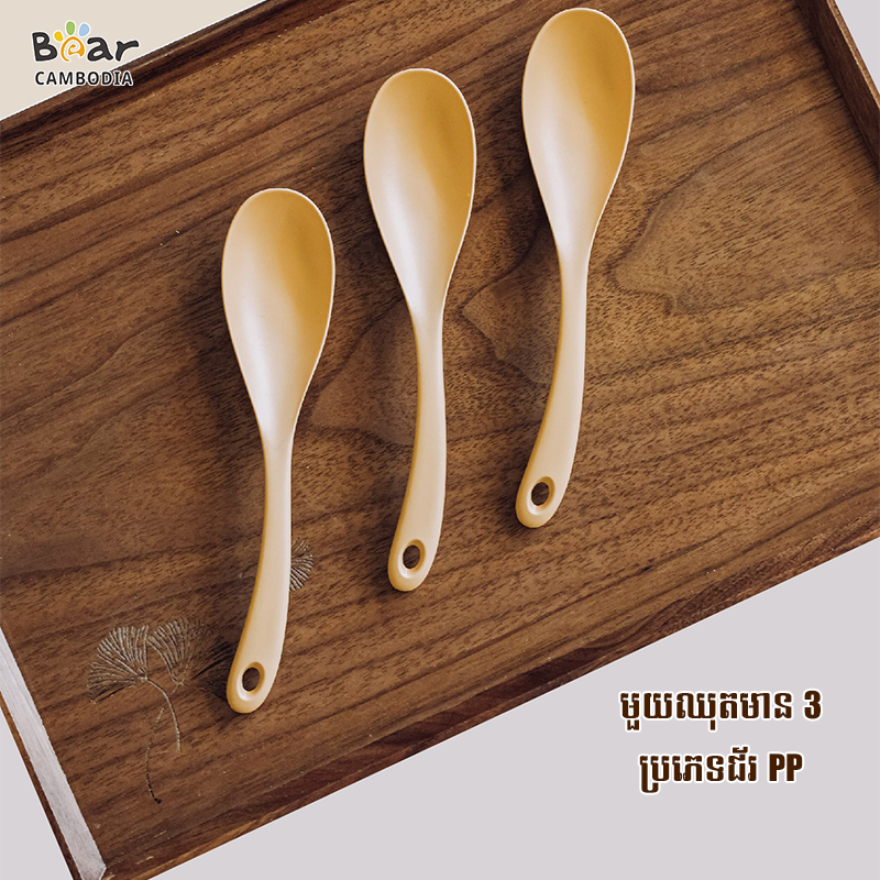 Pps Spoon 3/Set